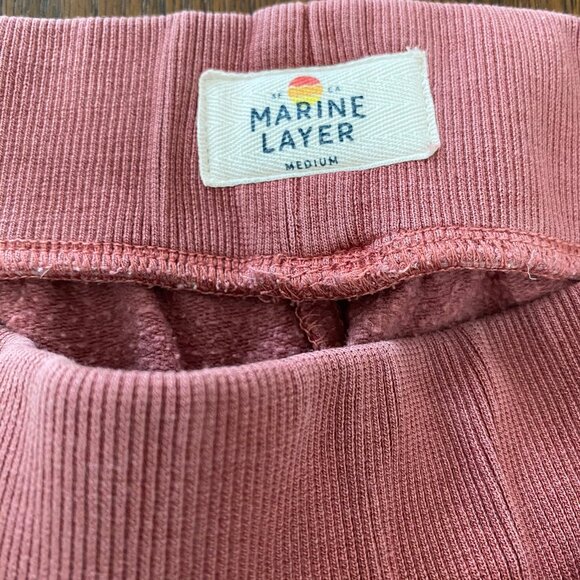 Marine Layer Joggers in Rose Size Medium - Picture 8 of 11